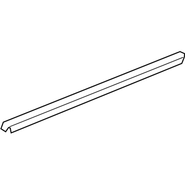 Chrysler Town & Country Door Seal - 4894975AC