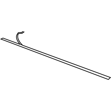 Dodge WG19AXRAC Body Side Molding