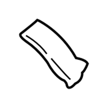 Dodge MR958569 Assist Strap