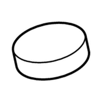 Dodge 68207789AA Magnet