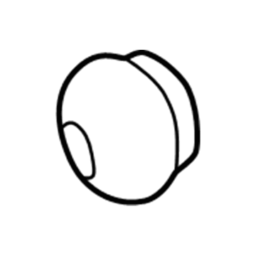 Chrysler 4509396 Dust Cap