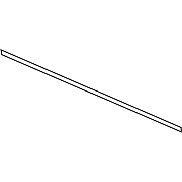 2007 Dodge Magnum Door Moldings - 5179259AA