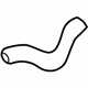 Mopar 4596334AB Lower Hose