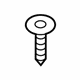 Mopar 68406862AA Headlamp Assembly Screw