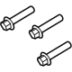 Mopar 5066960AC EGR Cooler Screw