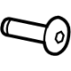 Mopar 68334850AA Latch Screw