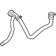 Mopar 68617694AA Lower Hose