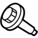 Mopar 68313646AA Motor Screw