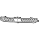 Mopar 6WY78GXHAA Grille - Radiator Mopar 6WY78GXHAA Grille - Radiator