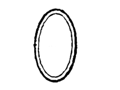 Jeep 68319837AA GASKET Water Pump