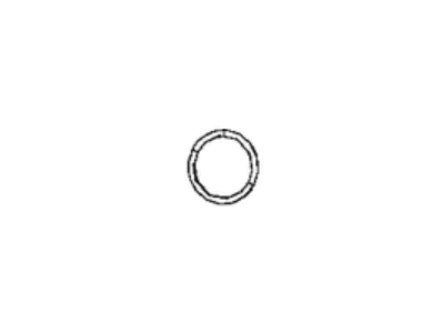 Mopar 68490008AA Water Pump O-Ring