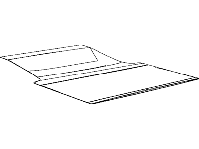 Chrysler 1NG22DX9AB CARPET Trunk