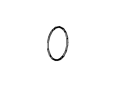 Jeep 68005261AA O-RING Extension