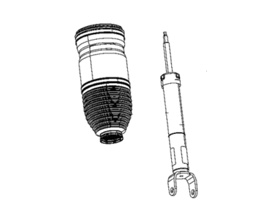 Ram 68318302AF SPRING AND SHOCK ASSEMBLY Air Suspension