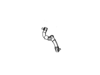 Jeep 68416834AA HOSE Coolant With Clamps