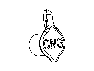 Ram 68194668AA CAP Fuel Filler CNG