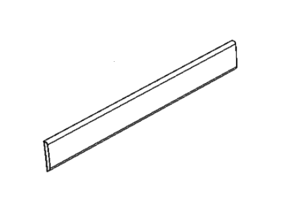 Ram 1ZT42JXWAB MOLDING Body Side