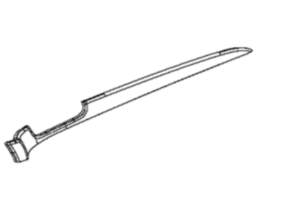 Mopar 68303162AA Applique Front Door