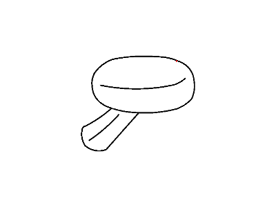 Chrysler 1BN90P41AA MIRROR Outside Rearview See Note: