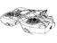 Mopar 5147177AC Tank Fuel Mopar 5147177AC Tank Fuel
