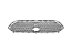 Mopar 6WQ89RXFAA Grille Lower