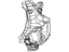 Mopar 68217027AA Knuckle Front Mopar 68217027AA Knuckle Front
