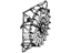 Mopar 55056851AF Fan Module Radiator Cooling