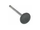 Jeep Intake Valve