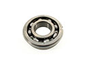 Dodge D100 Transfer Case Bearing